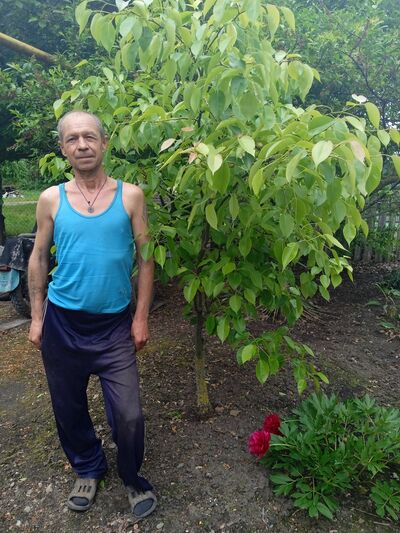  -,   , 55 ,   ,   