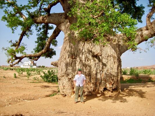  Barcelona,   Sergei, 59 ,   ,   