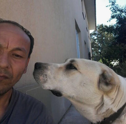  Polianky,   , 43 ,     , c 