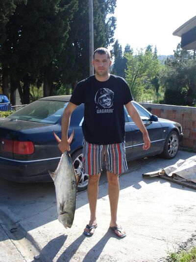  Petrovac na Moru,   Zoki, 38 ,   ,   , c 