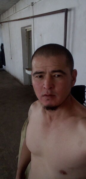  ,   , 43 ,  