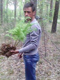  ,   , 45 ,   