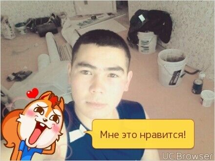  -,   , 29 ,   