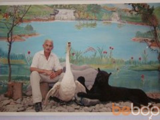  ,   , 61 ,   