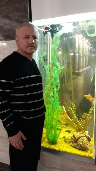  ,   , 62 ,   c 