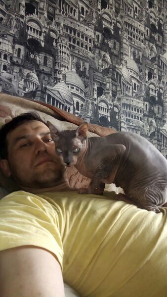   ,   Absentrush, 44 ,   ,   , c , 