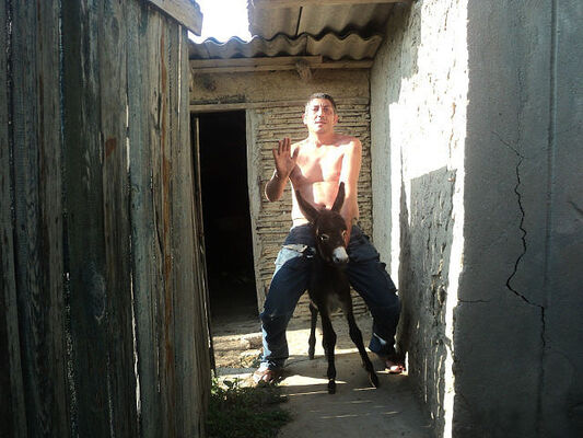  ,   , 51 ,  