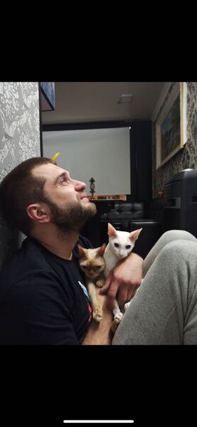 ,   , 36 ,   ,   