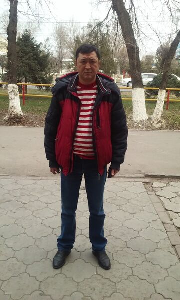  ,   Aslan, 56 ,   ,   , c 