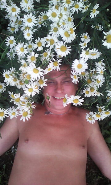 ,   , 59 ,  