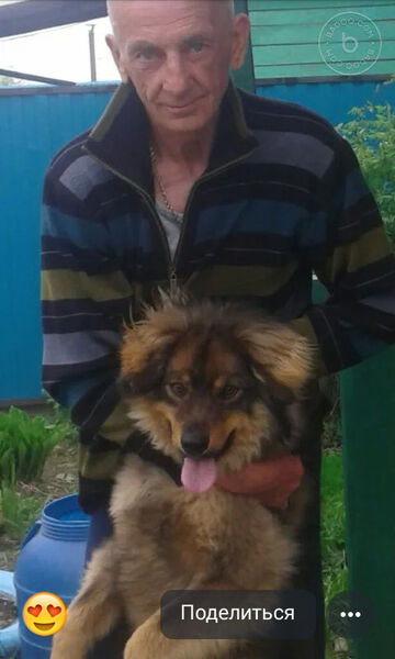  ,   , 61 ,   ,   , c 