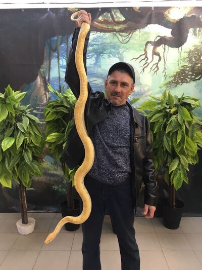  ,   , 52 ,     