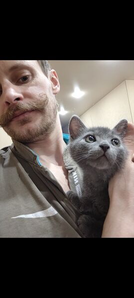  -,   , 34 ,   ,   