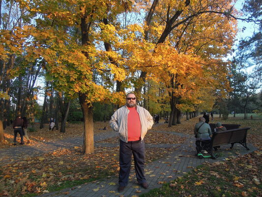  ,   Henry VIII, 57 ,   c 
