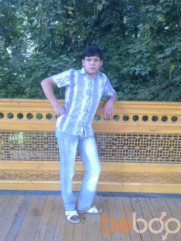  ,   Florid_8138, 33 ,     , c , 