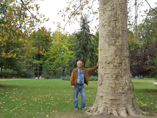  ,   , 61 ,   ,   