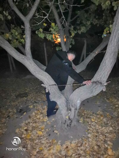 ,   Armen, 38 ,   ,   