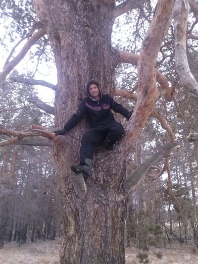  ,   Patisa, 43 ,     , c 