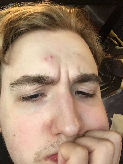  -,   , 22 ,   ,   