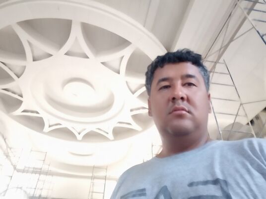  ,   Doni, 41 ,   ,   , c 