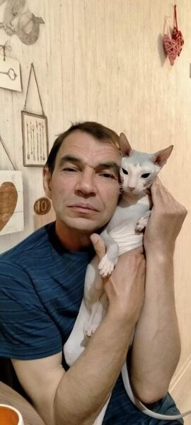  ,   , 61 ,   ,   