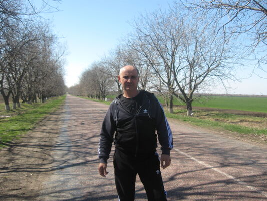  ,   , 54 ,   