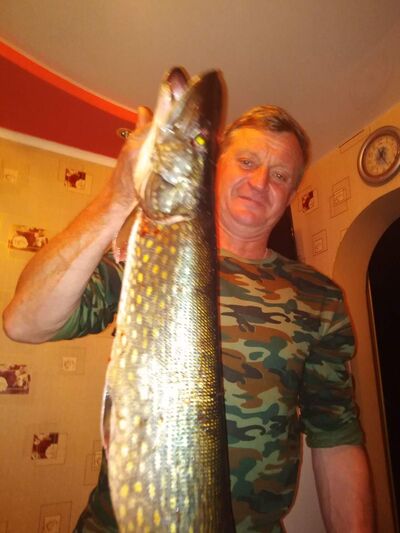  ,   Buzinhik, 54 ,   ,   
