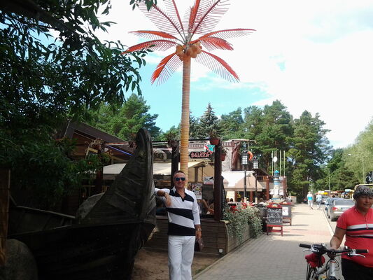  ,   , 79 ,   ,   , c , 