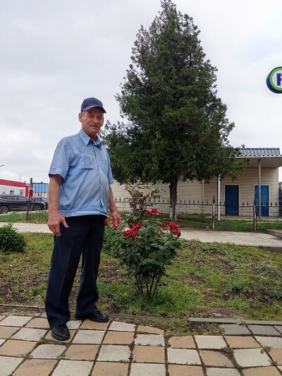  ,   , 73 ,   ,   