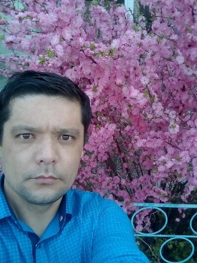  ,   , 41 ,     , c 