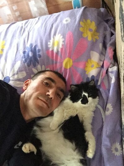  ,   , 46 ,   ,   , c 