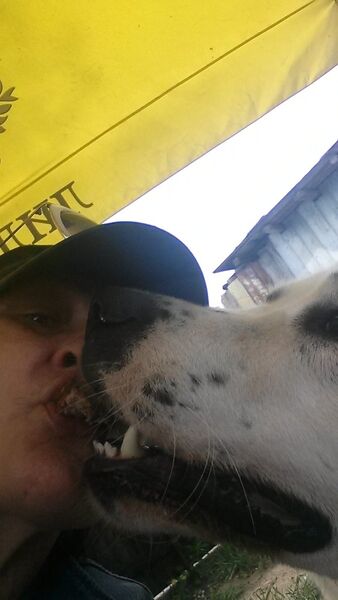  ,   , 60 ,   ,   , c 