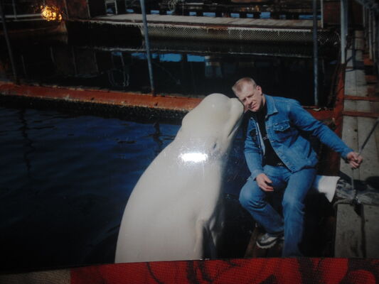  ,   , 55 ,   ,   , c 