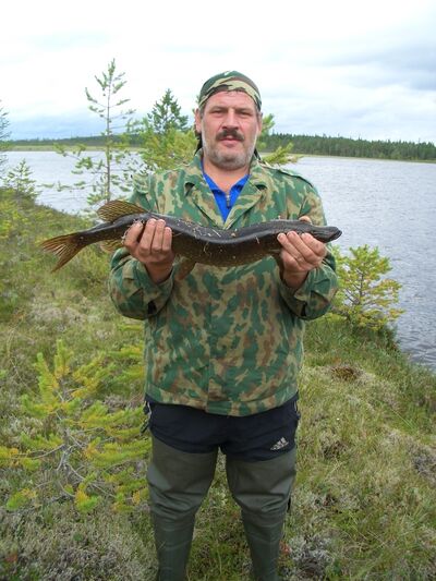  ,   , 64 ,  