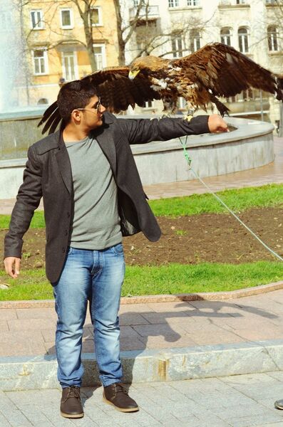  ,   Rocky, 32 ,   ,   , c 