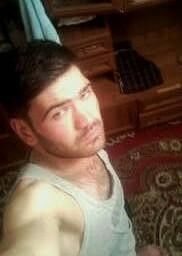  8677517  , 33 ,    -