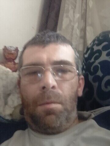  28841267  , 43 ,    