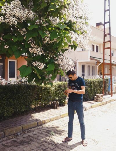  ,   , 43 ,   , 