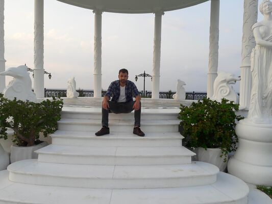  ,   Walbro, 31 ,   ,   