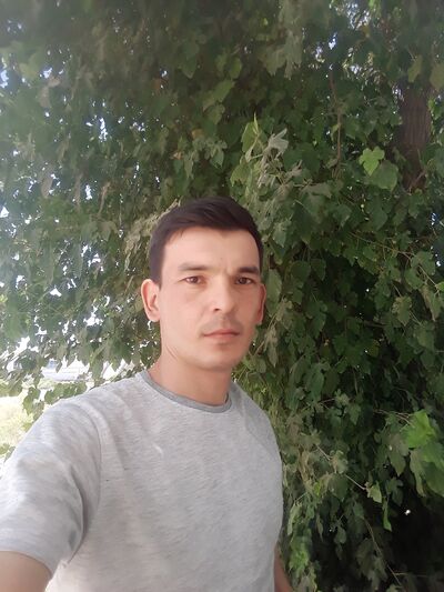  ,   Gylych, 31 ,   ,   