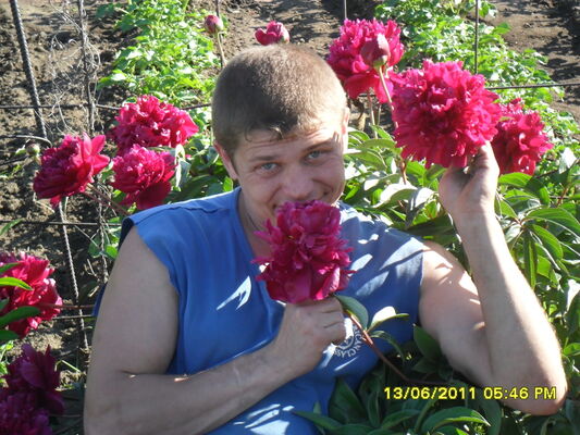  ,   , 43 ,   ,   , c , 