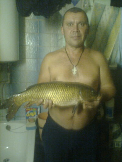  ,   , 58 ,   , 