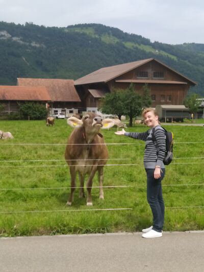  Stans,   , 42 ,     , c , 