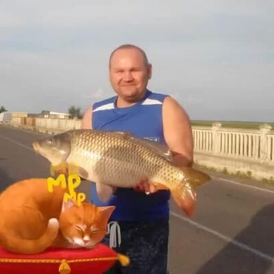  ,   , 49 ,   