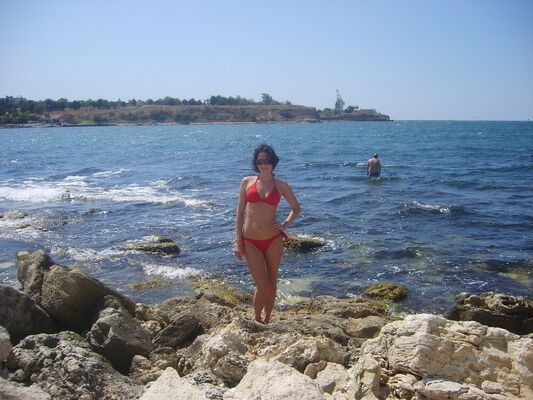  ,   , 43 ,  