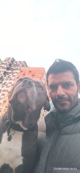  ,   Sayed, 42 ,   ,   , c , 