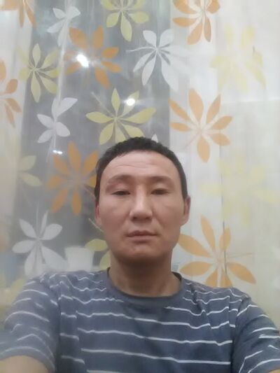  -,   , 43 ,   