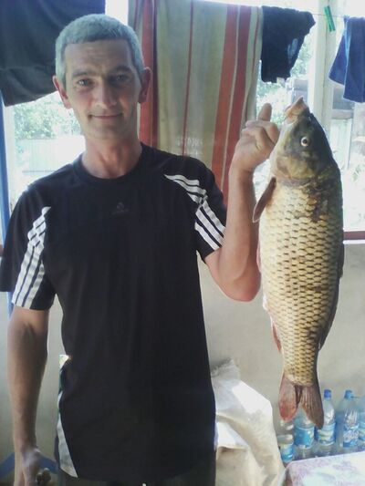  ,   , 49 ,  