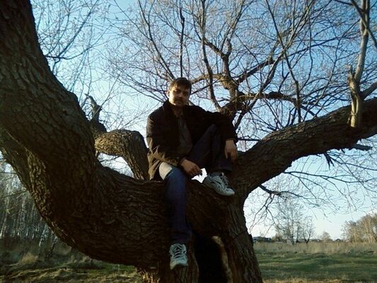  ,   , 57 ,  