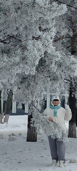   ,   , 61 ,   ,   , c 